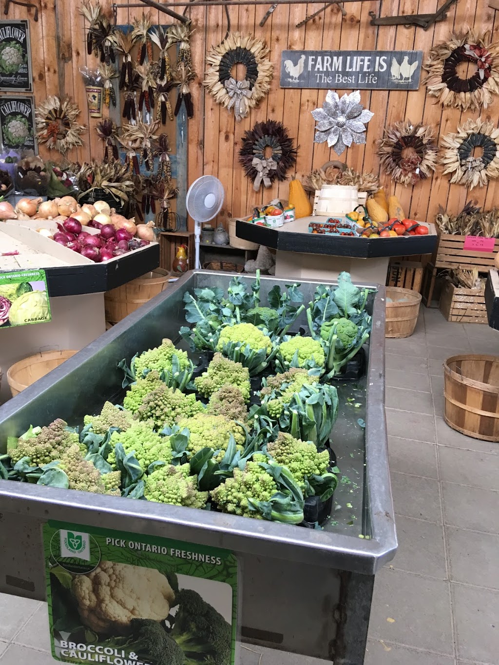 Round The Bend Farm | 16225 Jane St, Kettleby, ON L7B 0G3, Canada | Phone: (905) 727-0023