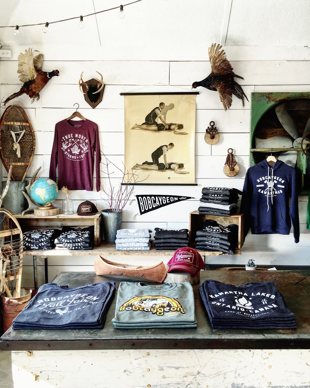 Douglas + Son | 68 Bolton St, Bobcaygeon, ON K0M 1A0, Canada | Phone: (705) 957-5702