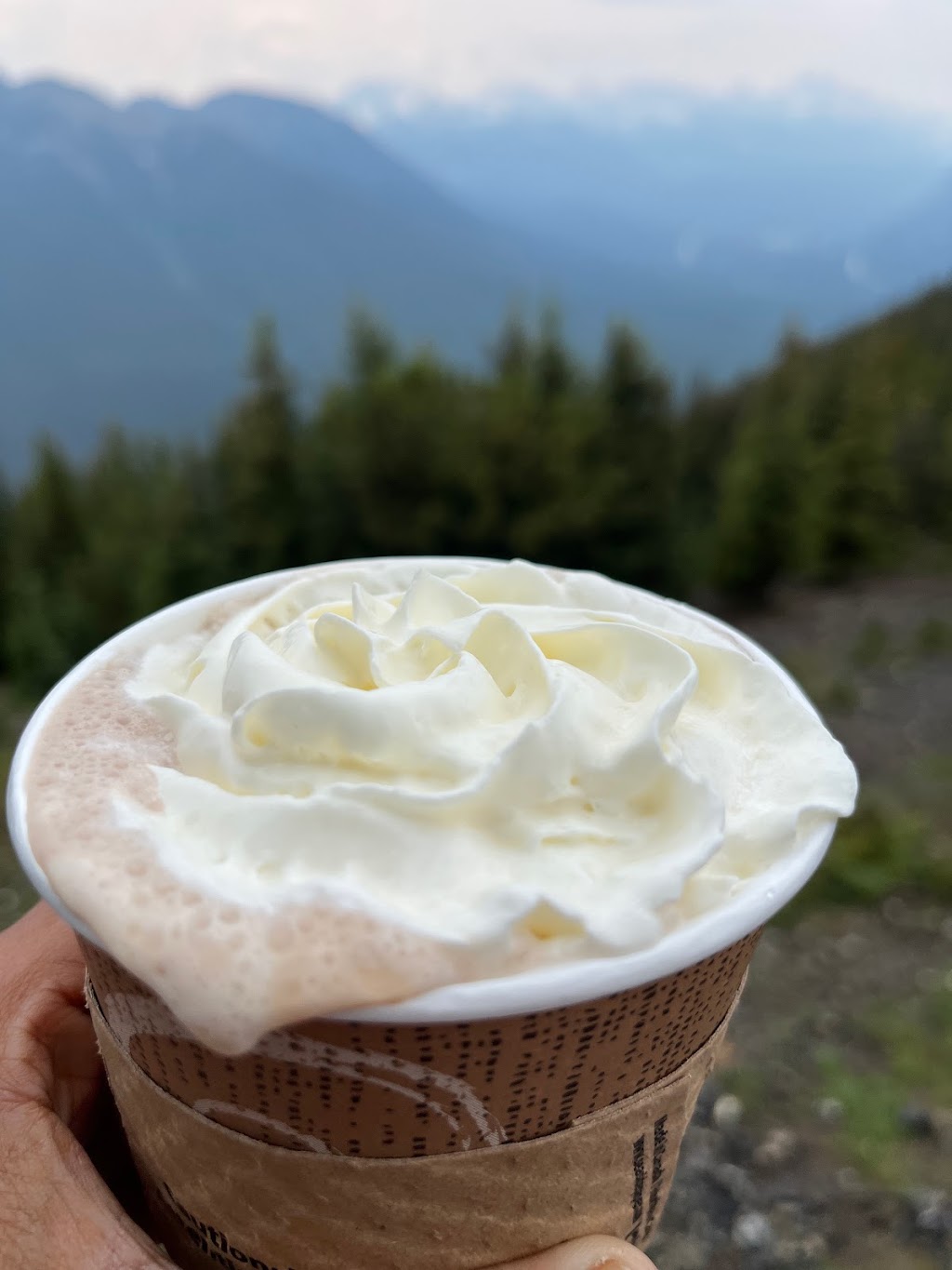 Castle Mountain Coffee | 100 Mountain Ave, Banff, AB T1L 1J3, Canada | Phone: (866) 606-6700