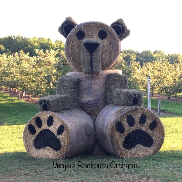 Vergers Rockburn Orchards | 2644 QC-202, Hinchinbrooke, QC J0S 1E0, Canada | Phone: (450) 827-2500