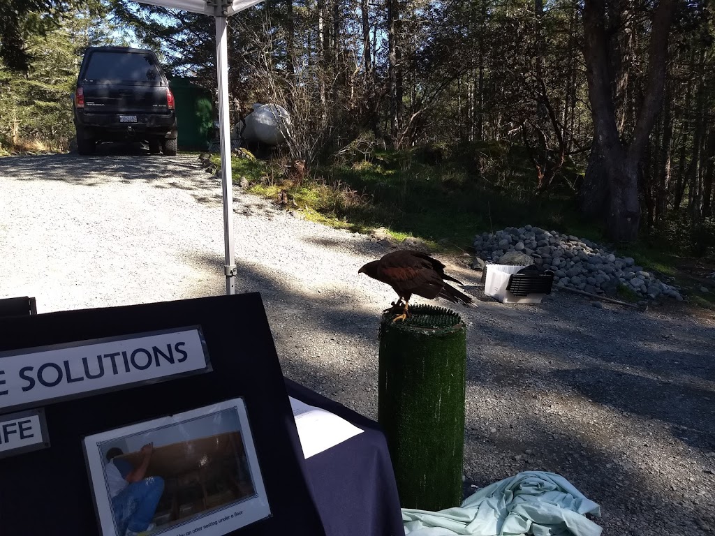 BC SPCA Wild Animal Rehabilitation Centre (Wild ARC) | 1020 Malloch Rd, Victoria, BC V9C 4G9, Canada | Phone: (855) 622-7722