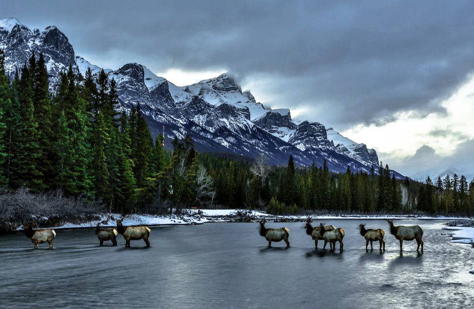 BookCanmore™ Vacations | 105 Bow Meadows Crescent Unit 152, Canmore, AB T1W 2W8, Canada | Phone: (403) 707-8439