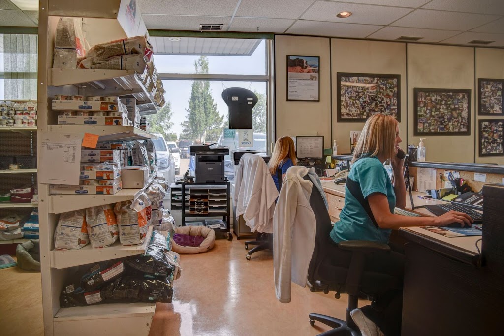 Westbrook Veterinary Clinic | 21 Fairway Dr NW, Edmonton, AB T6J 2S6, Canada | Phone: (780) 436-5073