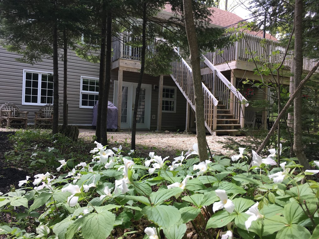 The Treehouse Guest Suites | 161 Point Rd, Flesherton, ON N0C 1E0, Canada | Phone: (905) 392-1494