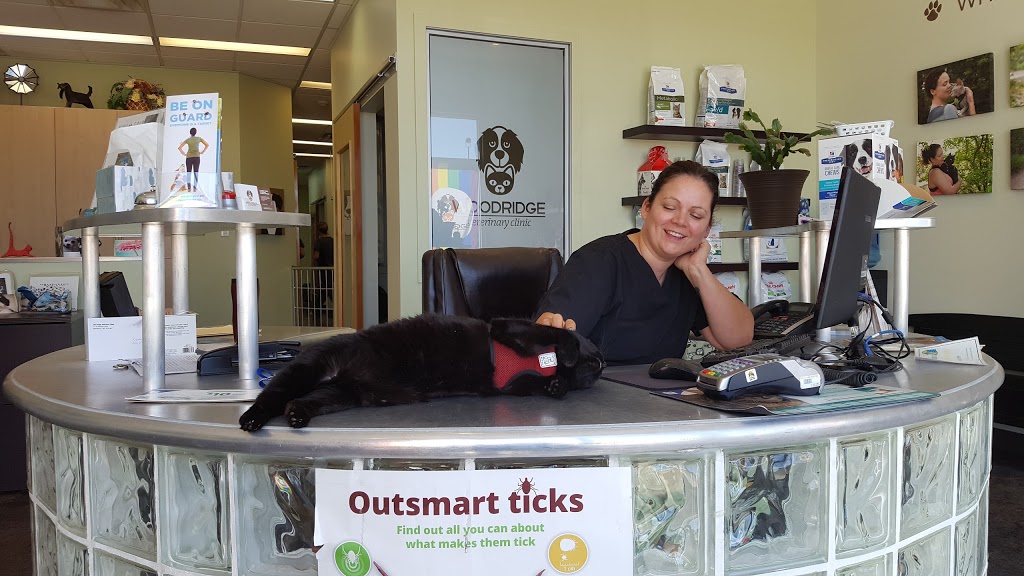 Woodridge Veterinary Clinic | 411-D Herold Ct, Saskatoon, SK S7V 0A7, Canada | Phone: (306) 244-1010