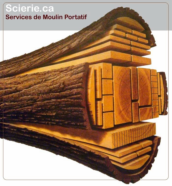 Scierie.ca - Moulin à scie - Moulin Portatif | 14 Rang Bellevue, Saint-Robert, QC J0G 1S0, Canada | Phone: (450) 782-3586