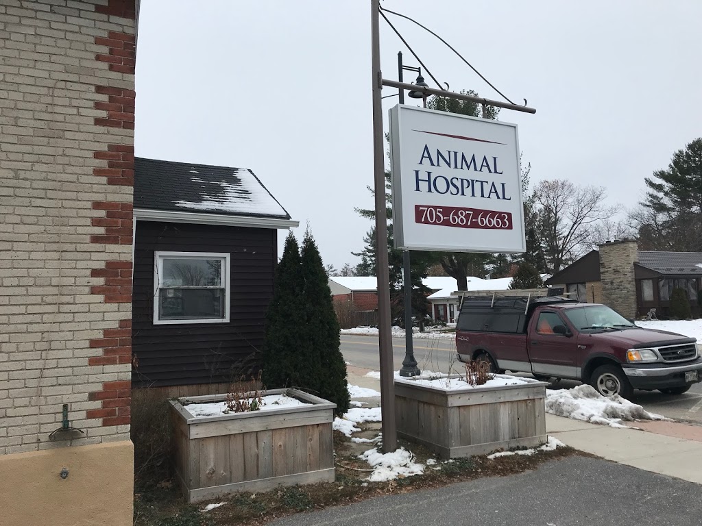 Animal Hospital | 571 Muskoka Rd N, Gravenhurst, ON P1P 1E7, Canada | Phone: (705) 687-6663