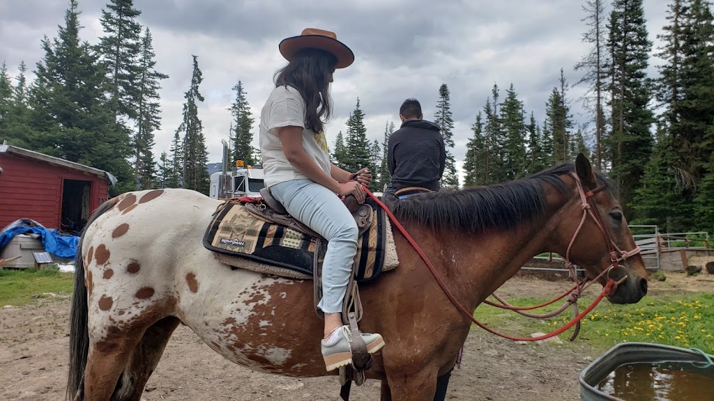 Timberline Tours Ltd | 101 St Piran Rd, Lake Louise, AB T0L 1E0, Canada | Phone: (403) 522-3743