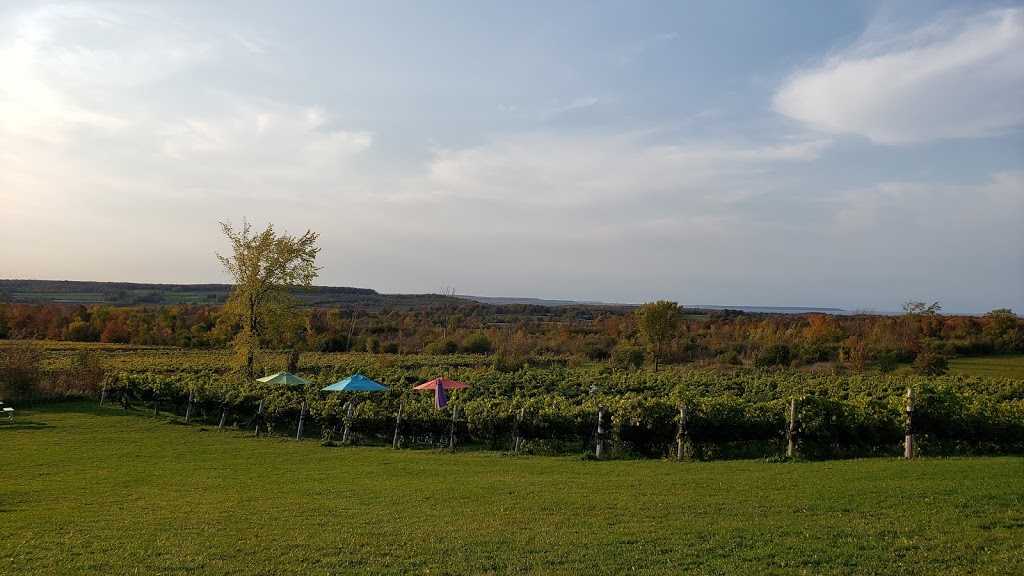 Coffin Ridge Vineyard & Winery | 599448 Concession Rd 2 N, Annan, ON N0H 1B0, Canada | Phone: (519) 371-9565
