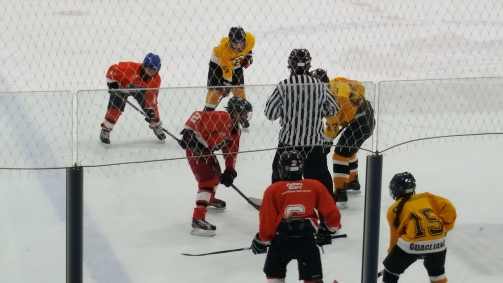 Chedoke Twin Pad Arena | 91 Chedmac Dr, Hamilton, ON L9C 7R5, Canada | Phone: (905) 546-3747