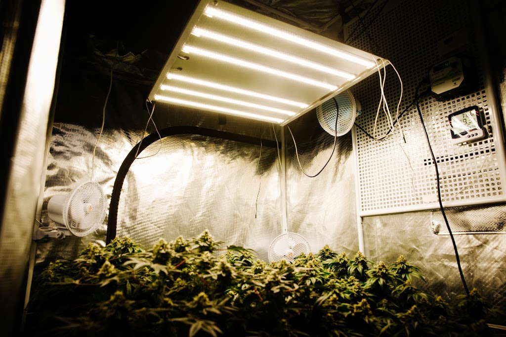 I:F Lighting Co. Ltd. | 1-643 Colby Dr, Waterloo, ON N2V 1B4, Canada | Phone: (226) 647-2672