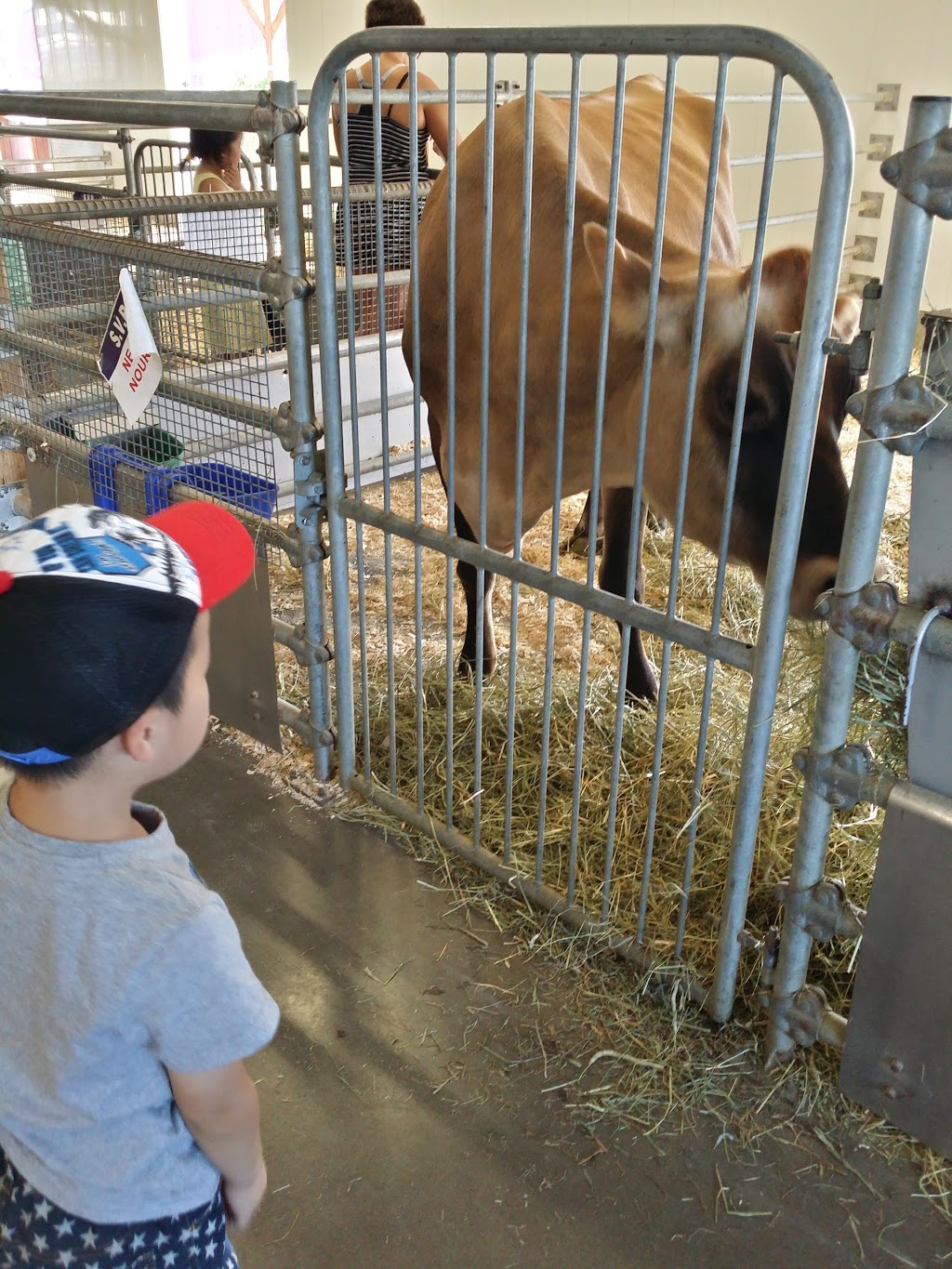 Ferme Guyon | 1001 Rue Patrick Farrar, Chambly, QC J3L 4N7, Canada | Phone: (450) 658-1010