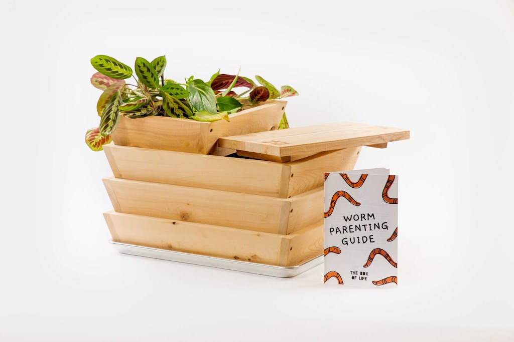 The Box Of Life | 136 Billings Ave Unit E, Ottawa, ON K1H 5K9, Canada | Phone: (873) 288-1148