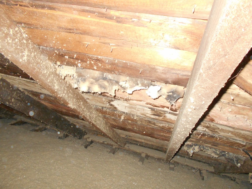 Crooker Hancox Home Inspections Inc. | 18 Carmichael Crescent, Brantford, ON N3R 8A8, Canada | Phone: (519) 751-3128