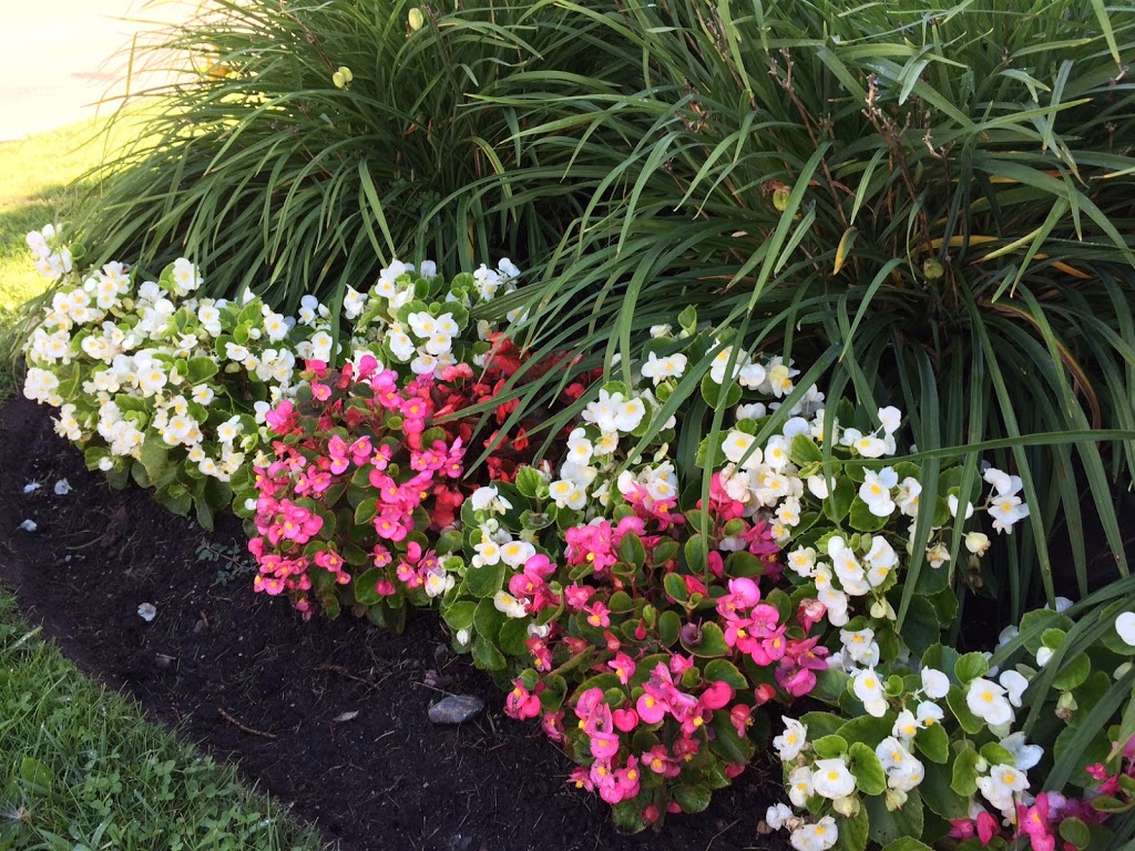 LGMP - Lloyd’s Grounds Management Professionals | 1893 Durham Regional Rd 3, Hampton, ON L0B 1J0, Canada | Phone: (905) 263-2225