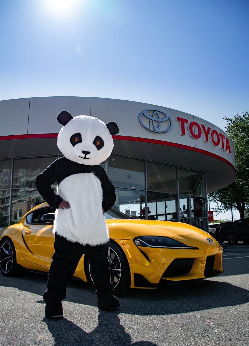 Regency Auto | 401 Kingsway, Vancouver, BC V5T 3K1, Canada | Phone: (604) 879-8411