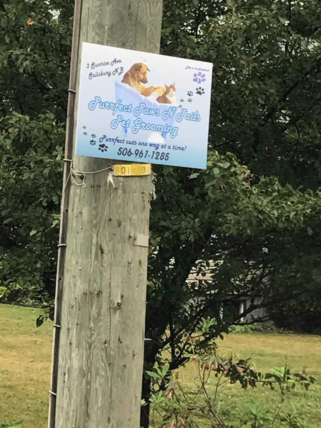 Purrfect Paws N Tails Pet Grooming | 3 Sunrise Ave, Salisbury, NB E4J 2S3, Canada | Phone: (506) 961-1285