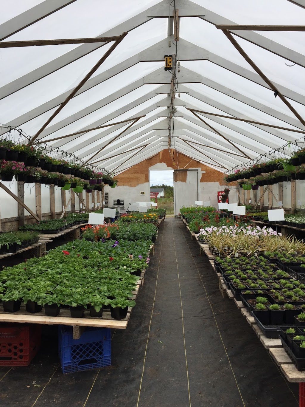 Hodge River Nursery | florist | 89 Markland Rd, Whitbourne, NL A0B 3K0, Canada | 7096908724 OR +1 709-690-8724