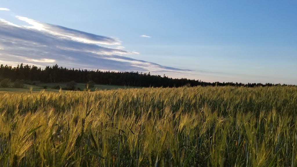 Les Jardins de la Grève | 112 Chem. de la Cinquième Grève E, Rivière-Ouelle, QC G0L 2C0, Canada | Phone: (418) 863-2984