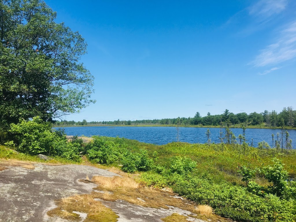 Torrance Barrens Dark-Sky Preserve | Southwood Rd, Gravenhurst, ON P0C 1M0, Canada | Phone: (800) 267-9700