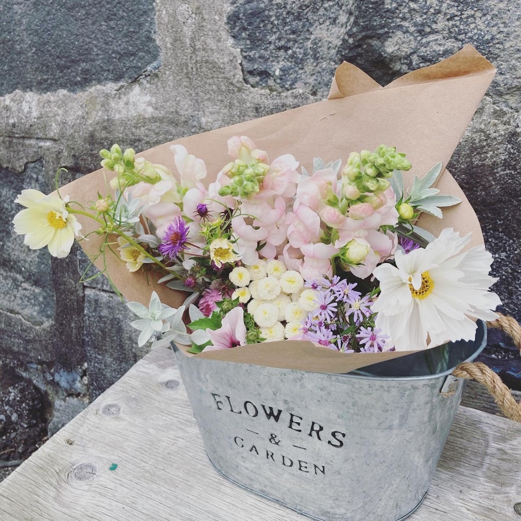 Florestia Ferme Florale | 505 Rang dOrvilliers, Sainte-Anne-de-la-Pérade, QC G0X 2J0, Canada | Phone: (819) 979-1066