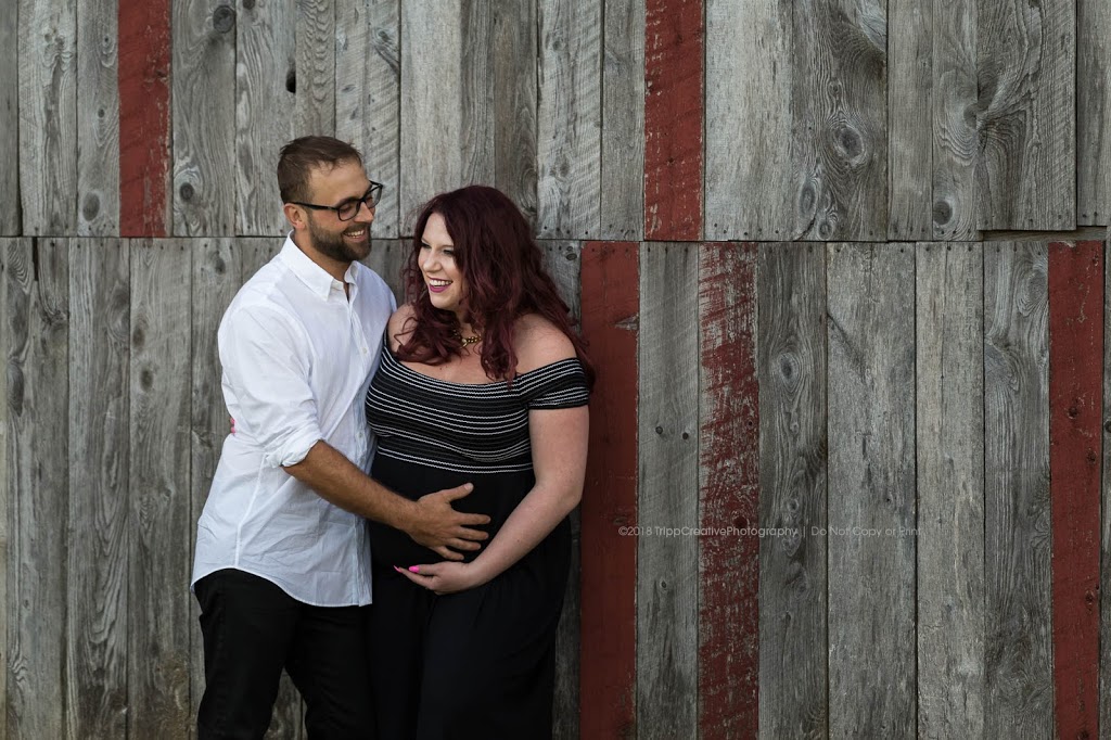 Tripp Creative Photography | 1851 Whitfield Rd, Port Perry, ON L9L 1B2, Canada | Phone: (905) 449-5895