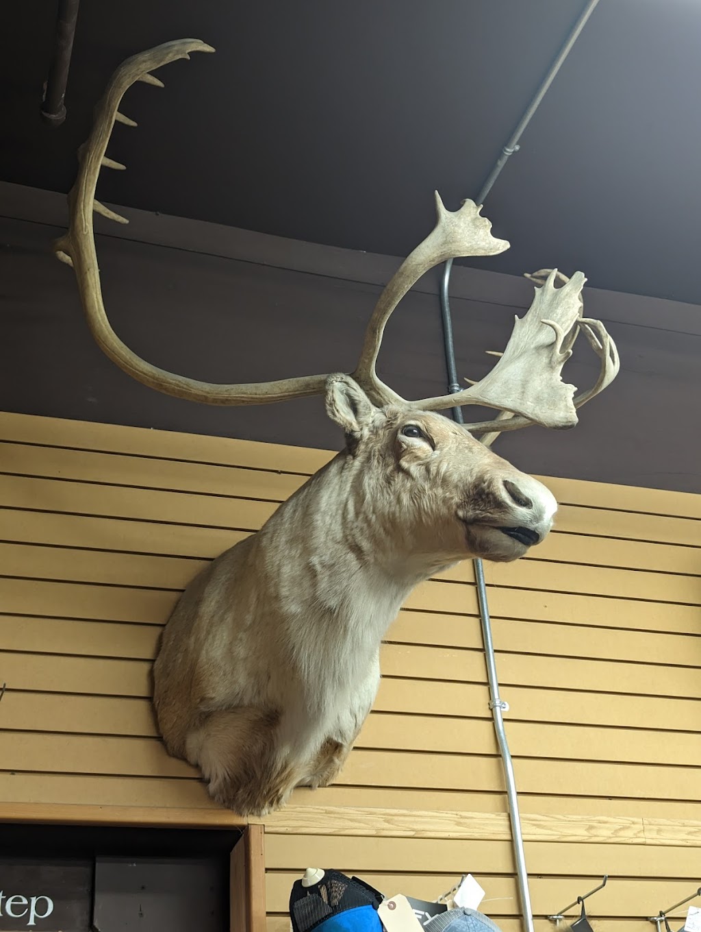 Winnipeg Outfitters Inc. | 250 McPhillips St, Winnipeg, MB R3E 2K4, Canada | Phone: (800) 665-0193