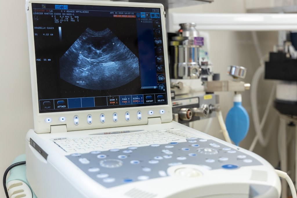 Clinique Vétérinaire Beauce-Appalaches Enr | 410 144e Rue, Saint-Georges, QC G5Y 2K4, Canada | Phone: (418) 227-3006