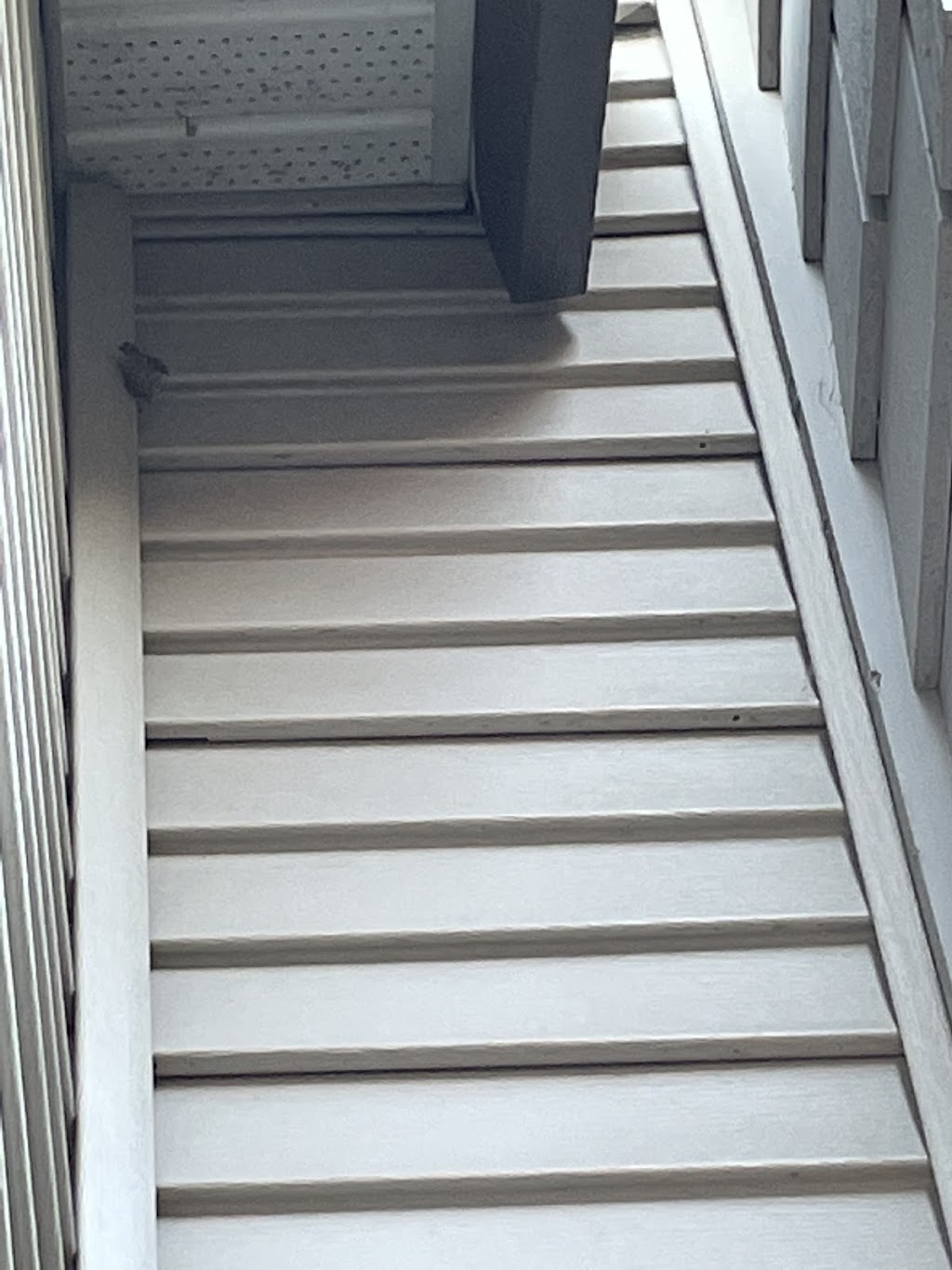 Ideal Pest Control | 12474 78 Ave, Surrey, BC V3W 8K1, Canada | Phone: (778) 891-9215