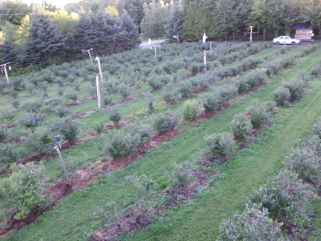 Serres Fernand Pigeon Et Filles Enr | 174 Chemin Beaudoin N, Durham-Sud, QC J0H 2C0, Canada | Phone: (819) 858-2777