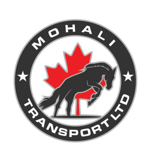 MOHALI TRANSPORT LTD. | 125 Transport Rd, Winnipeg, MB R2C 2Z2, Canada | Phone: (204) 688-8997