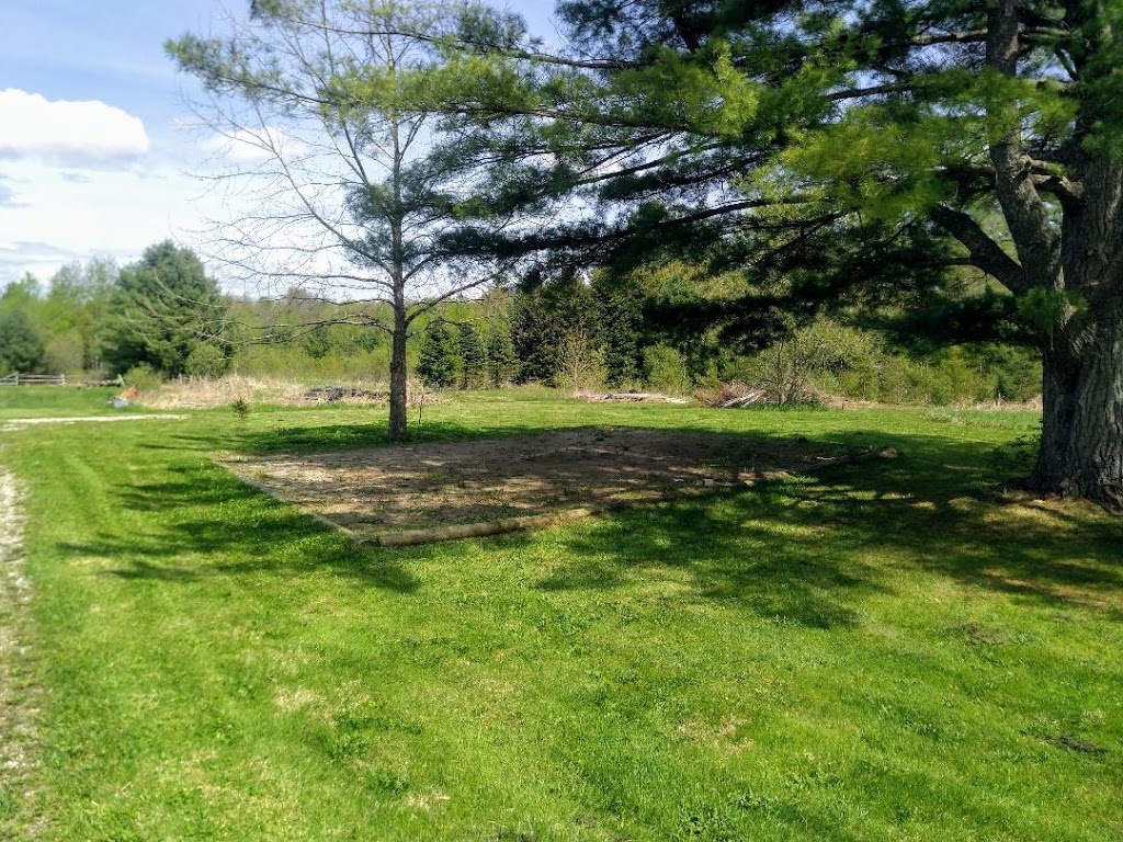 Bay Property Maintenance | 61 Meadows Ave, Waubaushene, ON L0K 2C0, Canada | Phone: (705) 538-1597