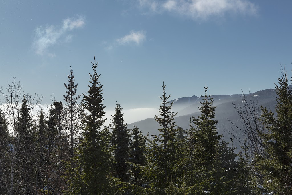 Chalet de la Bleuetiere | 8 Chemin de la Bleuetière, Petite-Rivière-Saint-François, QC G0A 2L0, Canada | Phone: (514) 824-7324