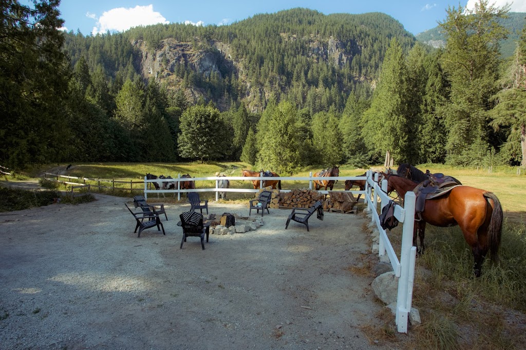 Moondogs | 14848 Squamish Valley Rd, Upper Squamish, BC V0N 1H0, Canada | Phone: (604) 828-5402
