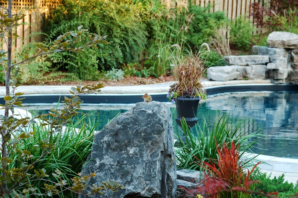 Tidy Gardens Landscaping Inc | 1355 Haig Blvd, Mississauga, ON L5E 2N1, Canada | Phone: (905) 271-7895