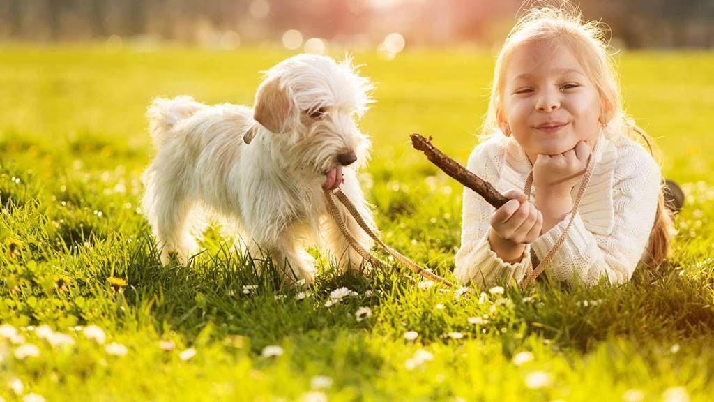 Hamptons Animal Hospital / Spay & Neuter Centre | 6023 199 St NW, Edmonton, AB T6M 0M8, Canada | Phone: (780) 489-3203