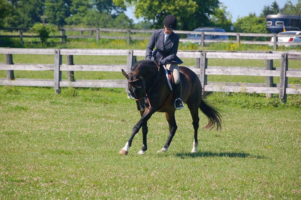 Toronto Equestrian | 3563 Vandorf Road, Whitchurch-Stouffville, ON L4A 4H5, Canada | Phone: (647) 996-0897