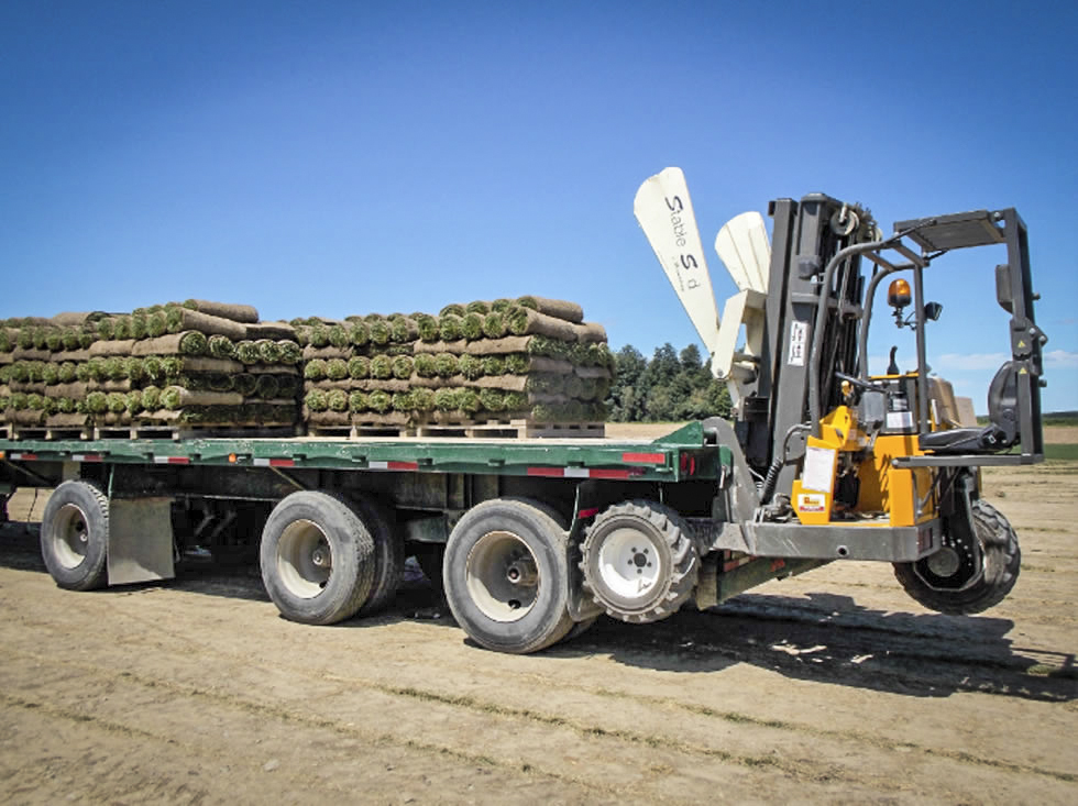 Les Gazons Michel inc. | 142 Chem. des Patriotes E, Saint-Jean-sur-Richelieu, QC J2X 4J3, Canada | Phone: (450) 347-3889