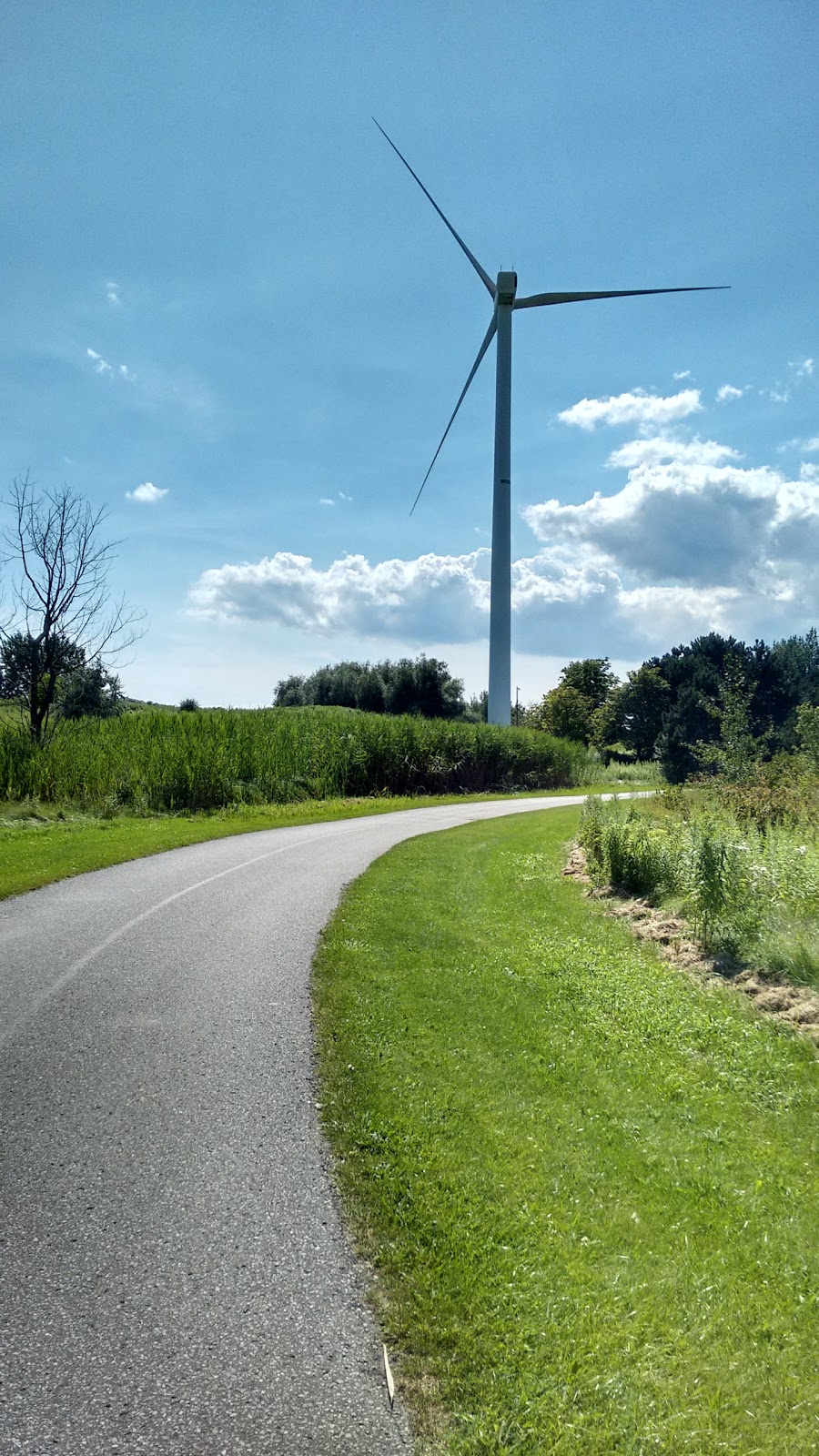 Alex Robertson Park | 700 Sandy Beach Rd, Pickering, ON L1W, Canada | Phone: (905) 683-7575