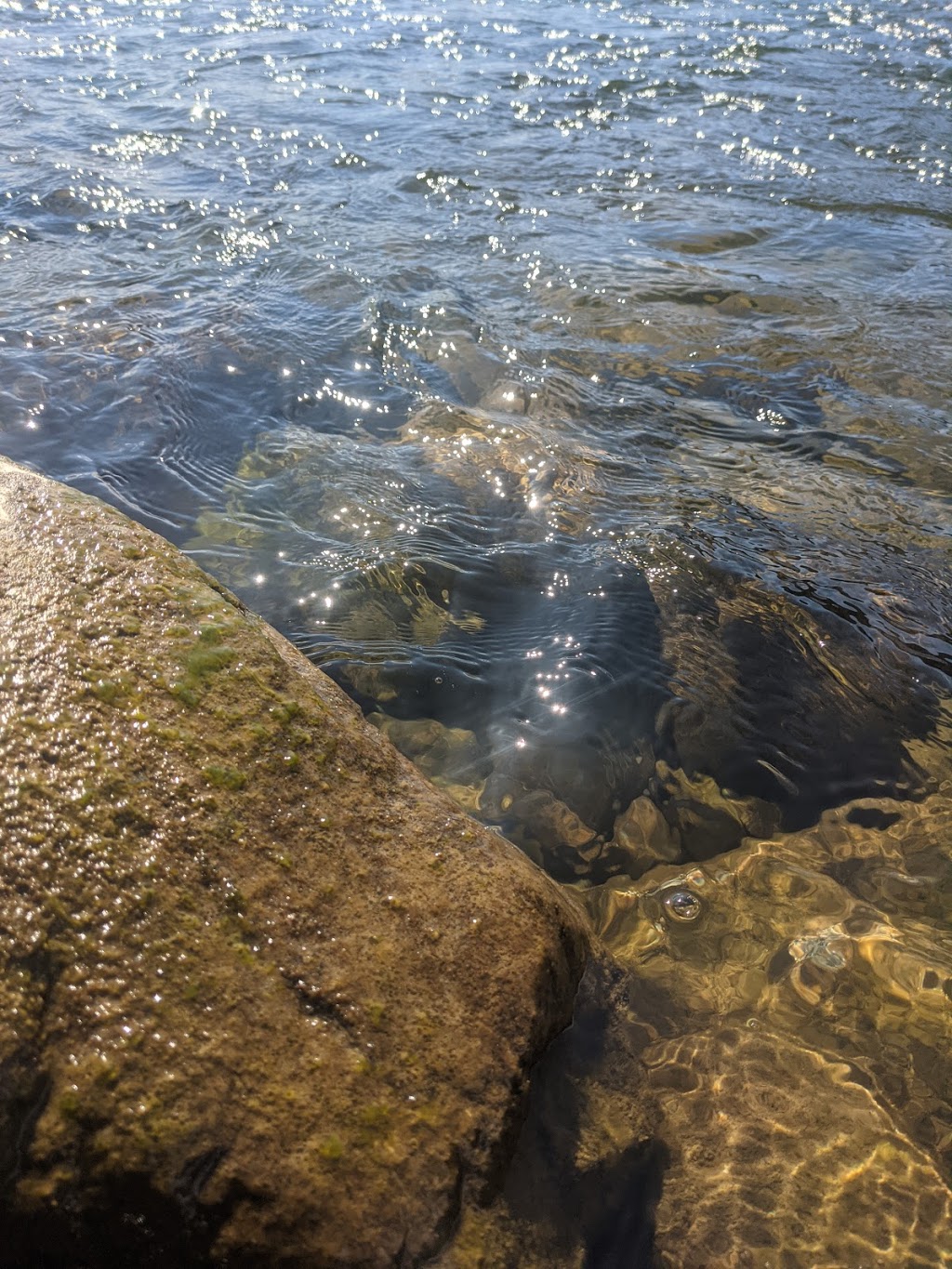 Stave River | Mission, BC, Canada | Phone: (778) 929-9924