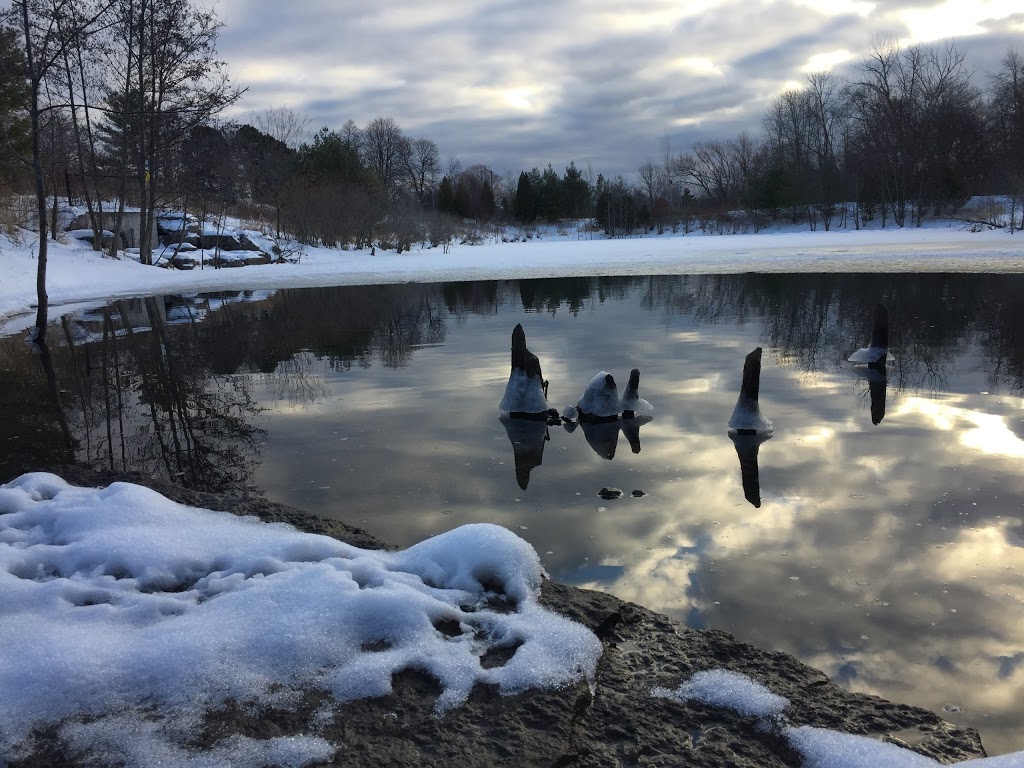 Stormwater Management Pond | Great Lakes Blvd, Oakville, ON L6L, Canada