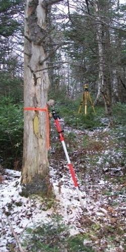 Mapleton Surveys | 699 Lynn Rd, Southampton, NS B0M 1W0, Canada | Phone: (902) 546-2202