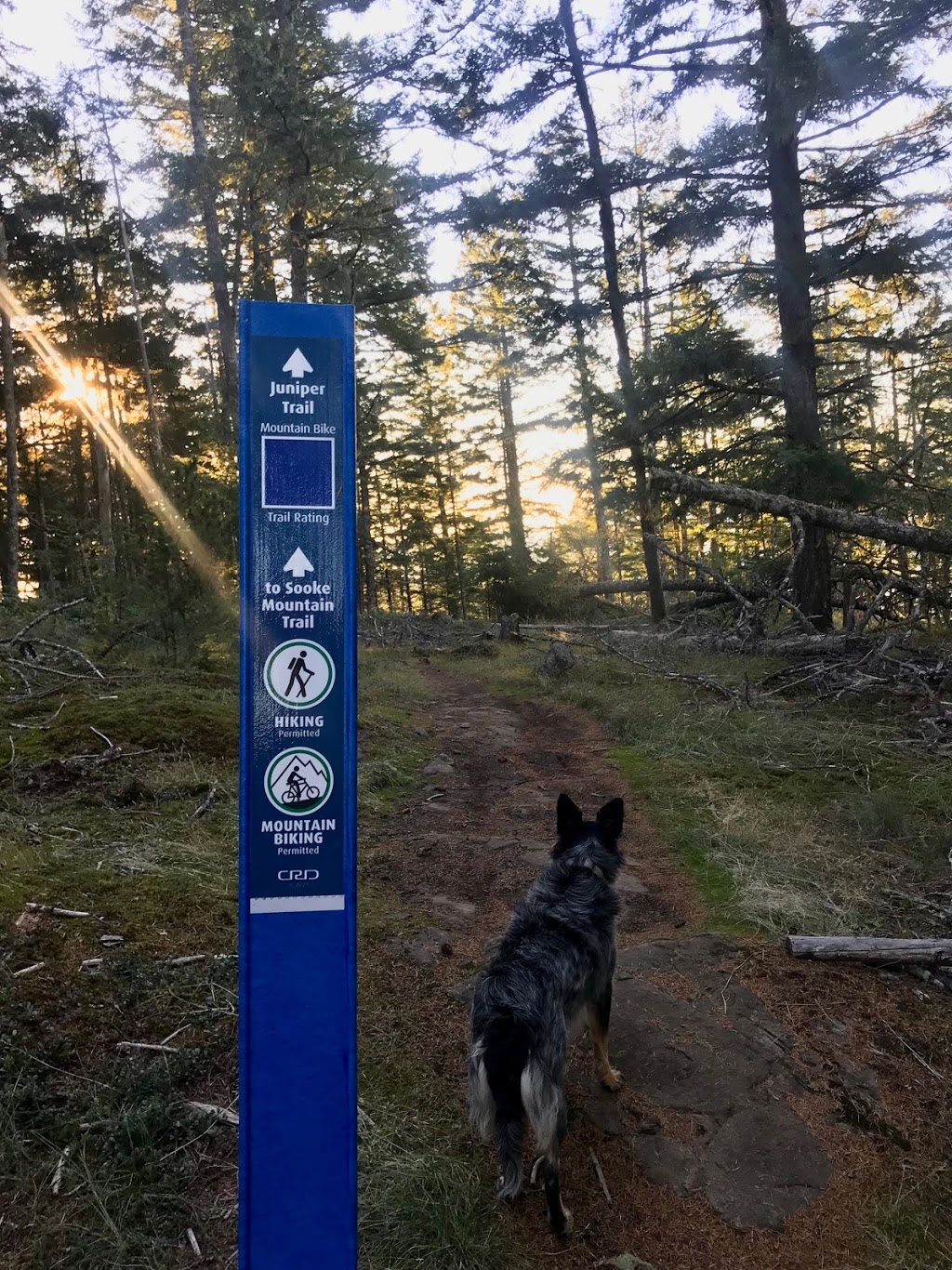 Sea to Sea Regional Park | Harbourview Rd, Sooke, BC V9C 4C1, Canada