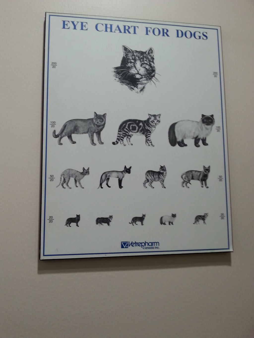 Abbotsford Animal Hospital | 14958 Yonge St, Aurora, ON L4G 1M7, Canada | Phone: (905) 727-7379