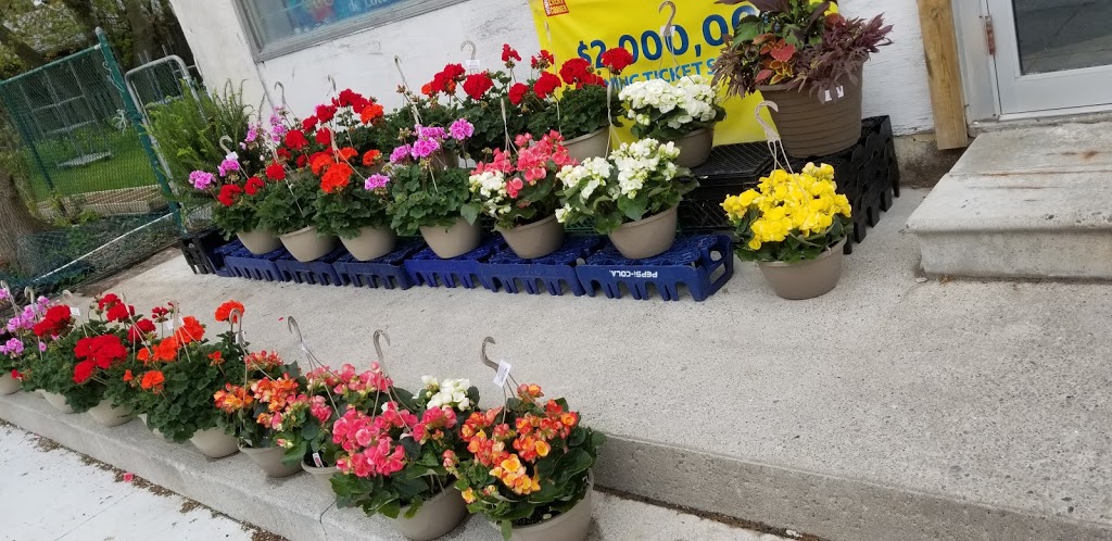 Willowdale Convenience | 184 Parkview Ave, North York, ON M2N 3Y8, Canada | Phone: (416) 221-0666