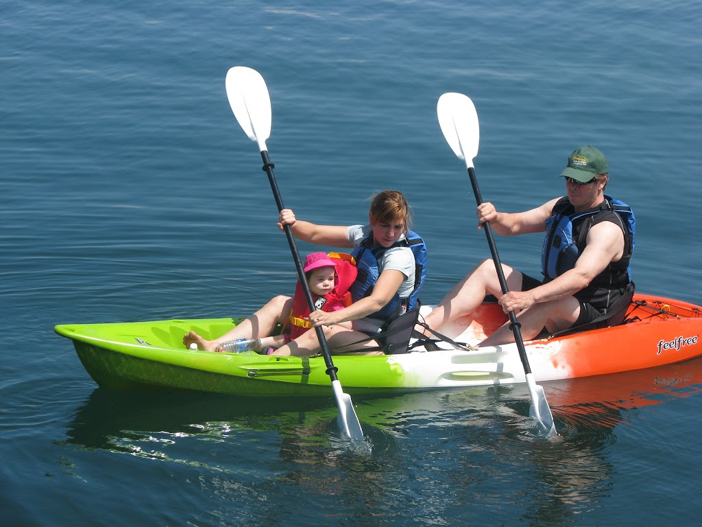 Dockside Kayak Rentals | 34 Water St, Digby, NS B0V 1A0, Canada | Phone: (902) 245-4950