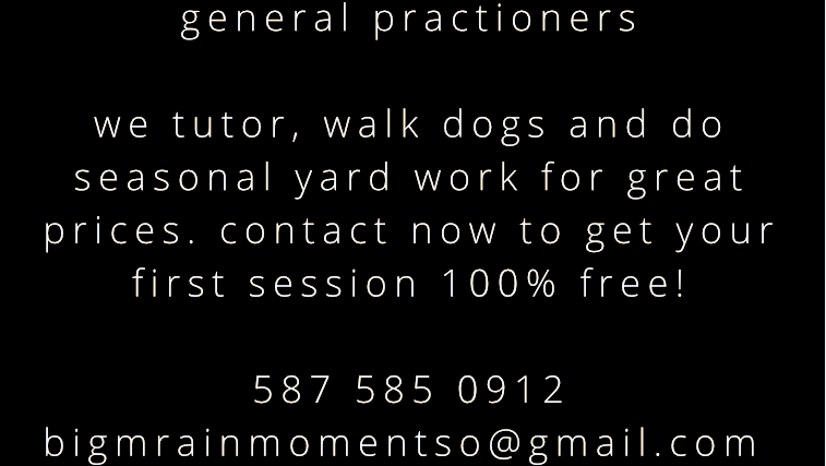 Big Brain Moments | 62 Crystal Shores Pl, Okotoks, AB T1S 2G3, Canada | Phone: (587) 585-0912