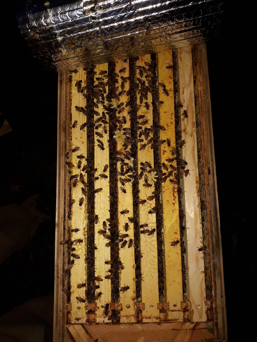 4thlinehoney | 96070 4 Line SW, Melancthon, ON L9V 2B9, Canada | Phone: (647) 216-7084