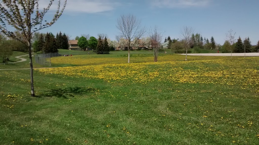 Longworth Park | 350 Longworth Ave, Bowmanville, ON L1C 0E2, Canada | Phone: (800) 563-1195