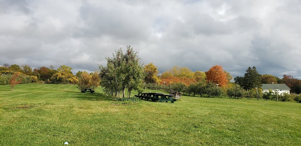 Pieters Appleyard | 13516 County Rd 2 RR 4, Colborne, ON K0K 1S0, Canada | Phone: (905) 355-5725